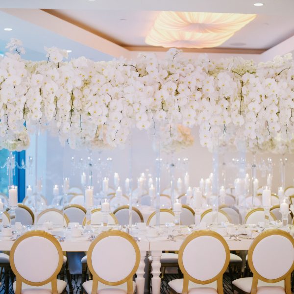 Elegant Pure White Wedding